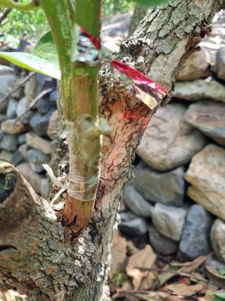 김용대님의 자유주제 · 자유게시판 작성글 사진