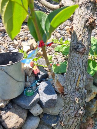 김용대님의 자유주제 · 자유게시판 작성글 사진