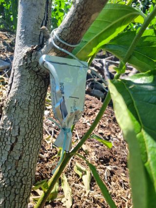 김용대님의 자유주제 · 자유게시판 작성글 사진