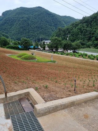 이상응님의 콩 · 자유게시판 작성글 사진