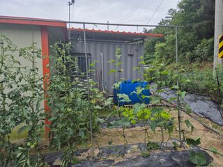 김종열님의 👩🏻‍🌾7월 농작업 계획 · 참여글 작성글 사진