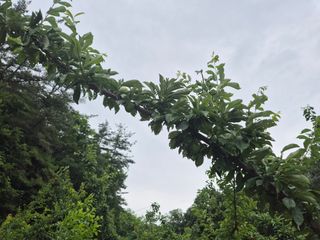 김종열님의 👩🏻‍🌾7월 농작업 계획 · 참여글 작성글 사진