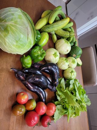 원탑님의 👩🏻‍🌾7월 농작업 계획 · 참여글 작성글 사진