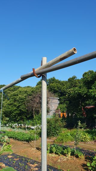 윤병진(艾香農園)님의 자유주제 · 자유게시판 작성글 사진