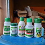 팜모닝 자유주제·자유게시판 게시글 이미지