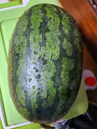 서석면님의 감자 · 영농일지 작성글 사진