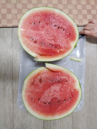 박상현님의 자유주제 · 자유게시판 작성글 사진