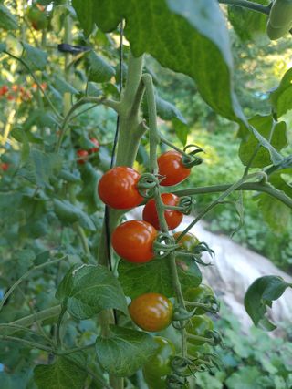 박상현님의 자유주제 · 자유게시판 작성글 사진