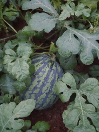 박상현님의 자유주제 · 자유게시판 작성글 사진