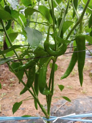 박상현님의 자유주제 · 자유게시판 작성글 사진