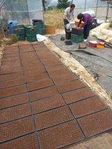 팜모닝 자유주제·자유게시판 게시글 이미지