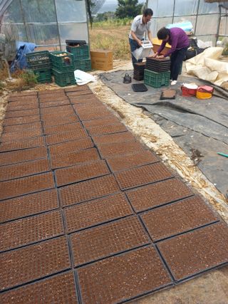 인간문화재님의 자유주제 · 자유게시판 작성글 사진