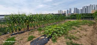 이장호님의 👩🏻‍🌾7월 농작업 계획 · 참여글 작성글 사진