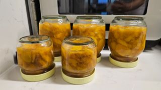 종합선물세트님의 복숭아 · 영농일지 작성글 사진