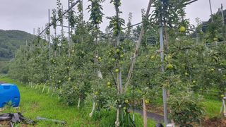 최해목님의 👩🏻‍🌾7월 농작업 계획 · 참여글 작성글 사진