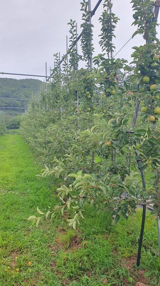 최해목님의 👩🏻‍🌾7월 농작업 계획 · 참여글 작성글 사진