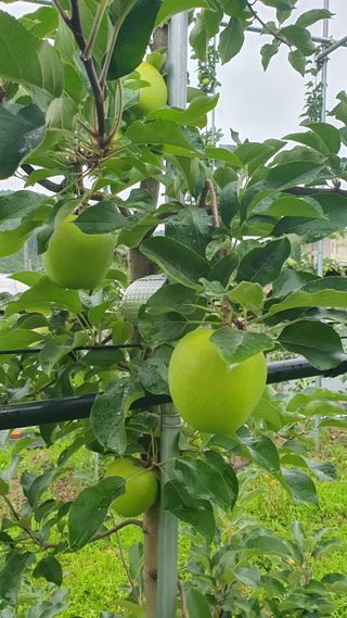 최해목님의 👩🏻‍🌾7월 농작업 계획 · 참여글 작성글 사진