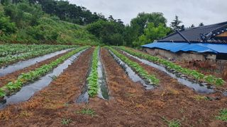 최해목님의 👩🏻‍🌾7월 농작업 계획 · 참여글 작성글 사진