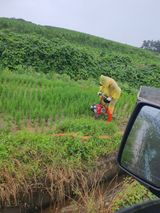 팜모닝 벼·영농일지 게시글 이미지