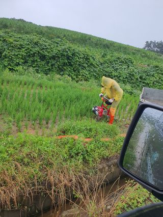 4륜구동경운기님의 벼 · 영농일지 작성글 사진