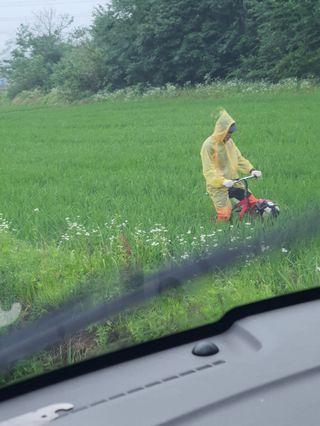 4륜구동경운기님의 벼 · 영농일지 작성글 사진