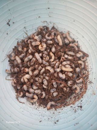 kis님의 자유주제 · 자유게시판 작성글 사진