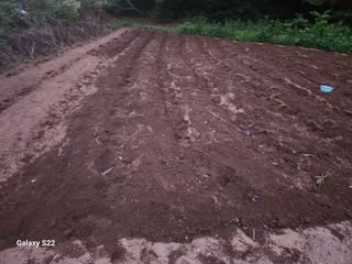 kis님의 자유주제 · 자유게시판 작성글 사진