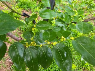 주주농장님의 기타작물 · 영농일지 작성글 사진