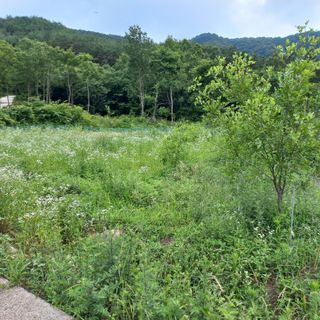 김건우님의 기타작물 · 영농일지 작성글 사진