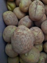 팜모닝 자유주제·자유게시판 게시글 이미지