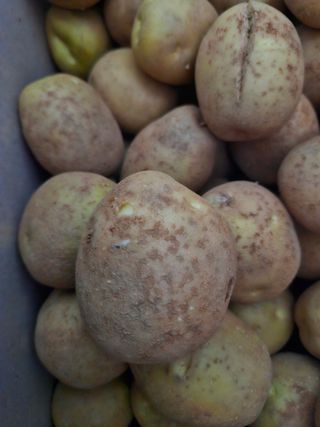 채정옥님의 자유주제 · 자유게시판 작성글 사진