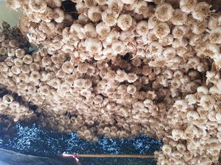 박귀님의 자유주제 · 자유게시판 작성글 사진