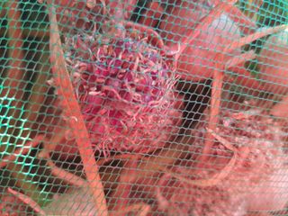 박귀님의 자유주제 · 자유게시판 작성글 사진