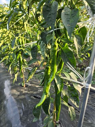 김대기님의 자유주제 · 자유게시판 작성글 사진