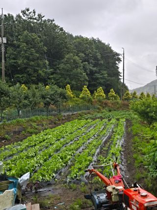 김대기님의 자유주제 · 자유게시판 작성글 사진