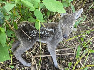 김대기님의 자유주제 · 자유게시판 작성글 사진