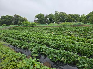 김대기님의 자유주제 · 자유게시판 작성글 사진