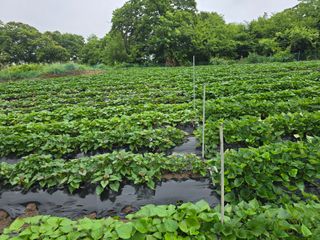 김대기님의 자유주제 · 자유게시판 작성글 사진