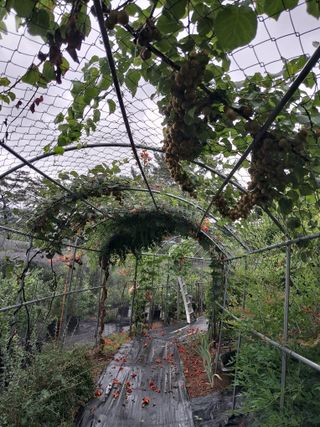 이수명님의 자유주제 · 자유게시판 작성글 사진