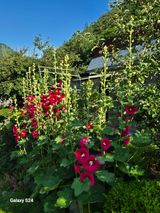 팜모닝 자유주제·자유게시판 게시글 이미지