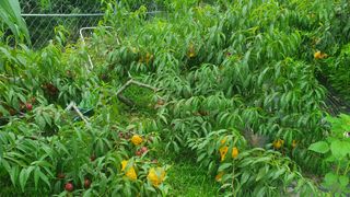 박진만님의 작성글 사진