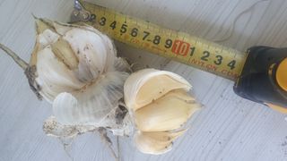 박진만님의 작성글 사진