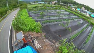 風雲雨님의 고추 · 영농일지 작성글 사진