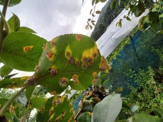 김재호님의 자유주제 · 자유게시판 작성글 사진