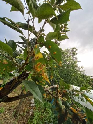 김재호님의 자유주제 · 자유게시판 작성글 사진