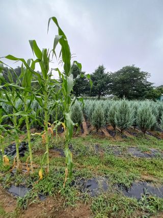 김재호님의 자유주제 · 자유게시판 작성글 사진
