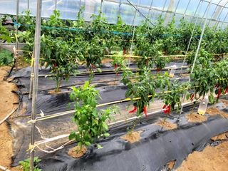 낙엽교목류16818님의 자유주제 · 자유게시판 작성글 사진