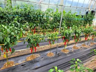 낙엽교목류16818님의 자유주제 · 자유게시판 작성글 사진