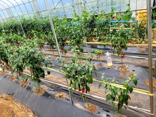 낙엽교목류16818님의 자유주제 · 자유게시판 작성글 사진