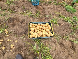 유종환님의 자유주제 · 자유게시판 작성글 사진